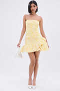 GARDEN PARTY MINI DRESS